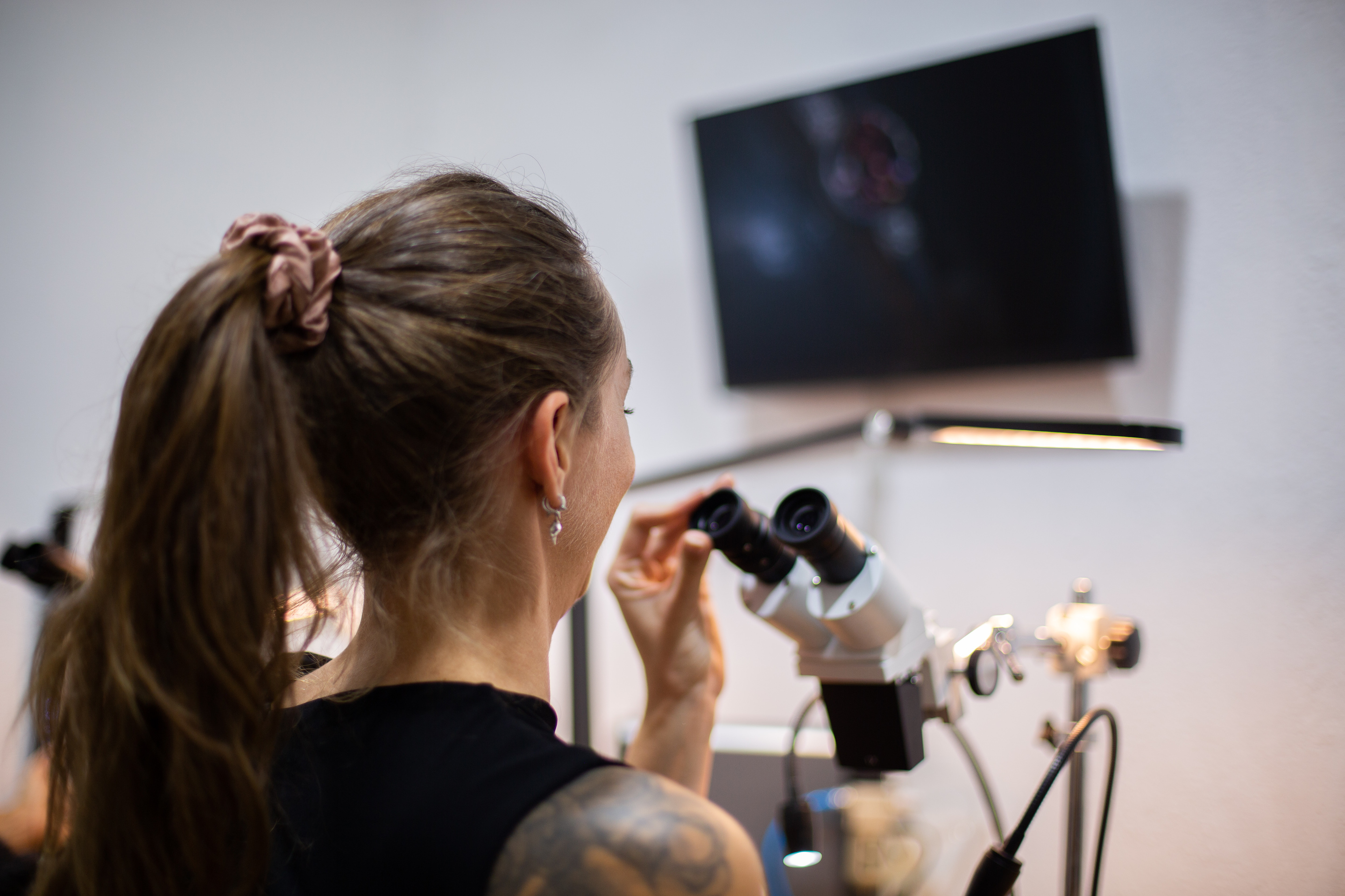 Atelier Sertissage Diamants galerie 2